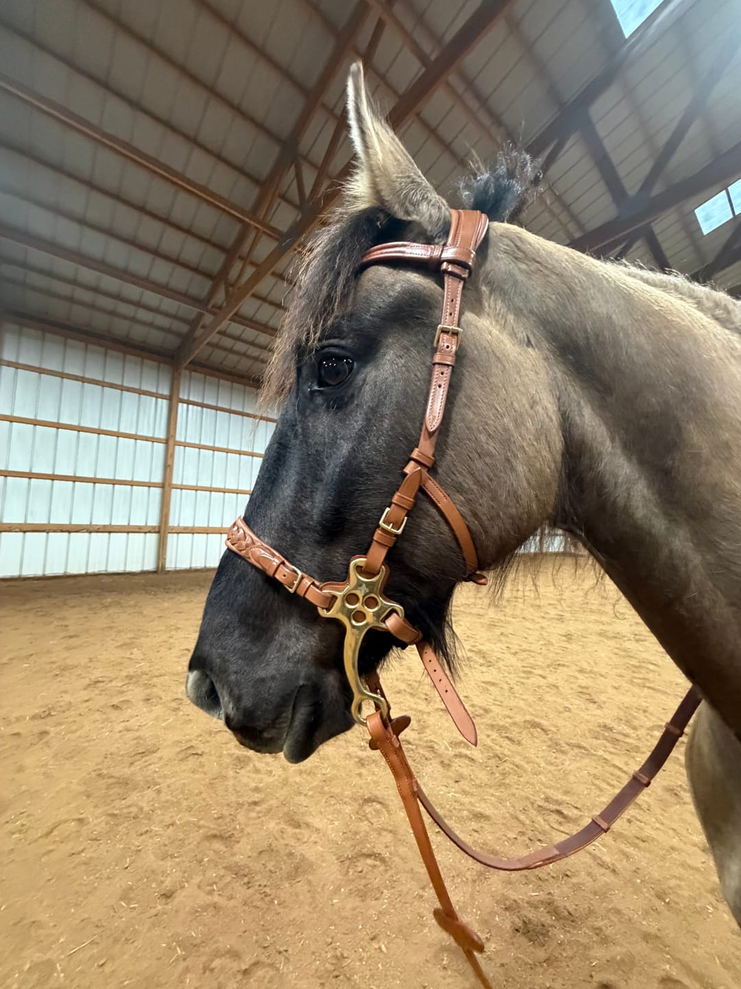 Customer photo review of Soft leather reins