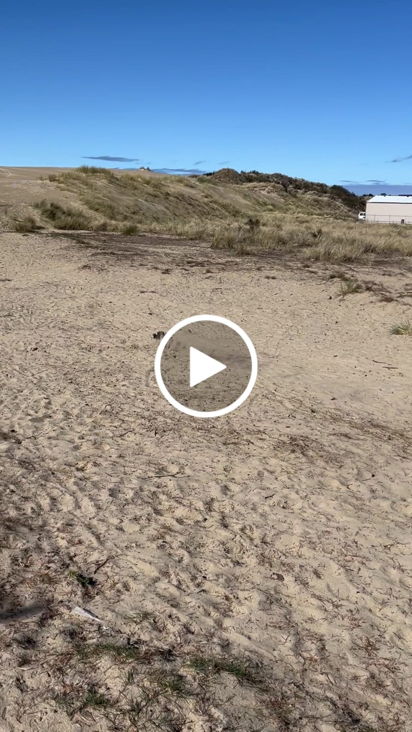 Customer video review of Shock Cap Set For SBK10 RC Buggy