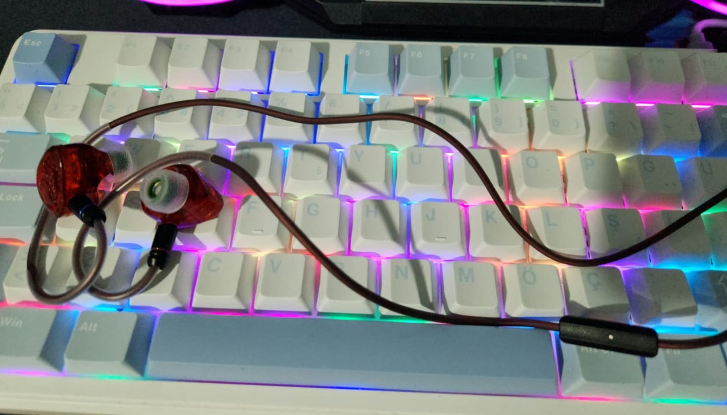 Customer photo review of TANGZU Wan'er S.G II IEM Kulaklık