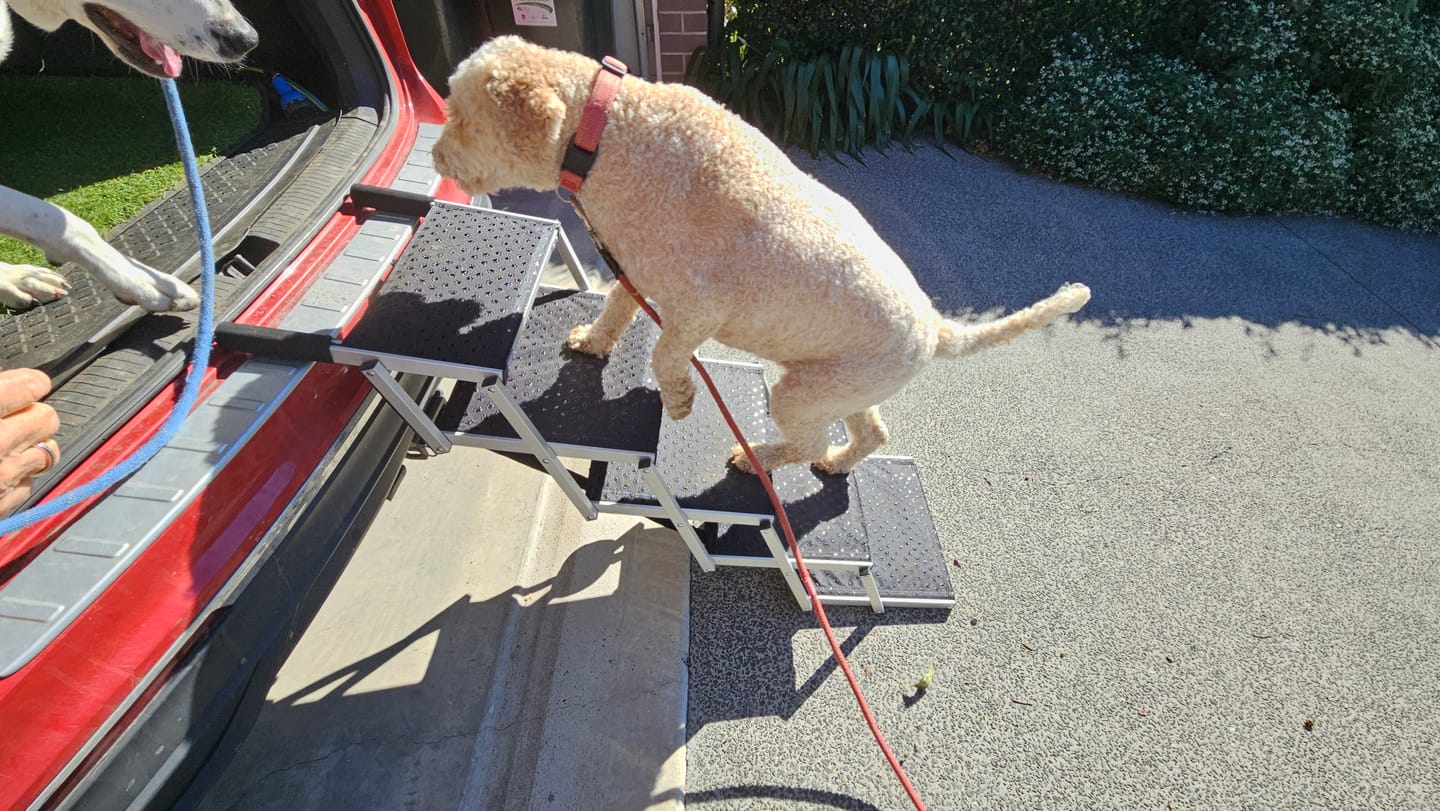 Customer photo review of Foldable Aluminum Pet Steps