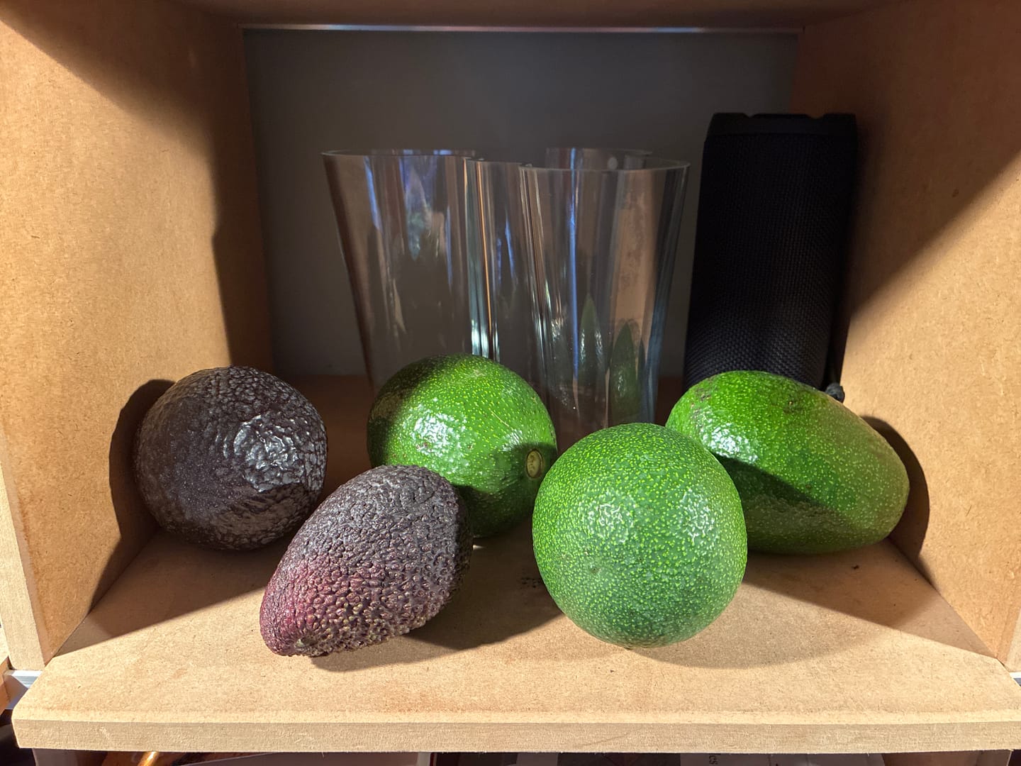 Customer photo review of Avocado Hass & Reed 13 Monate baumgereift von Julian