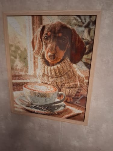 Kundenbewertung mit Foto zu Cappuccino-Dackel