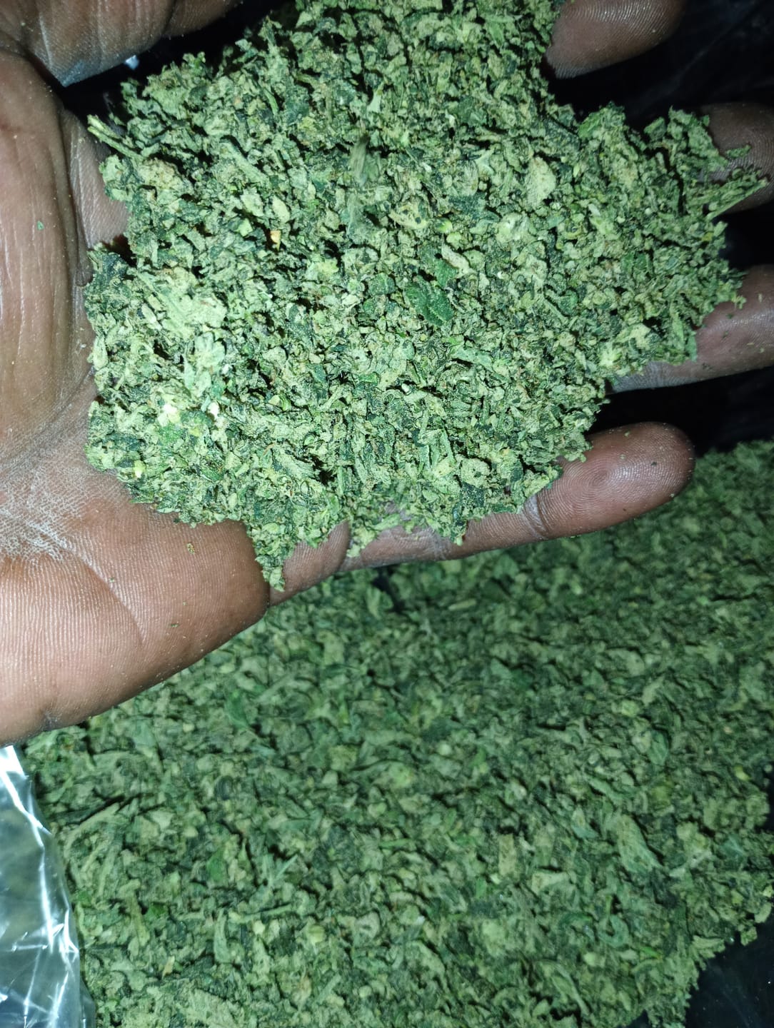Customer photo review of No 1. LA Pop Rock THCa Shake