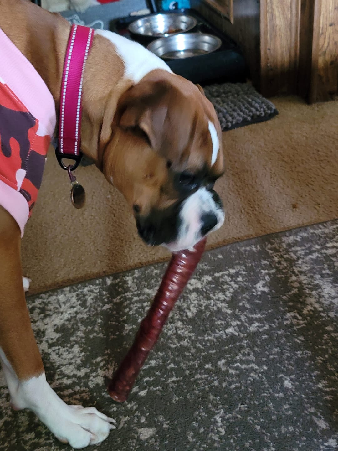 Customer photo review of 12 Inch Trachea Wrapped in Jerky