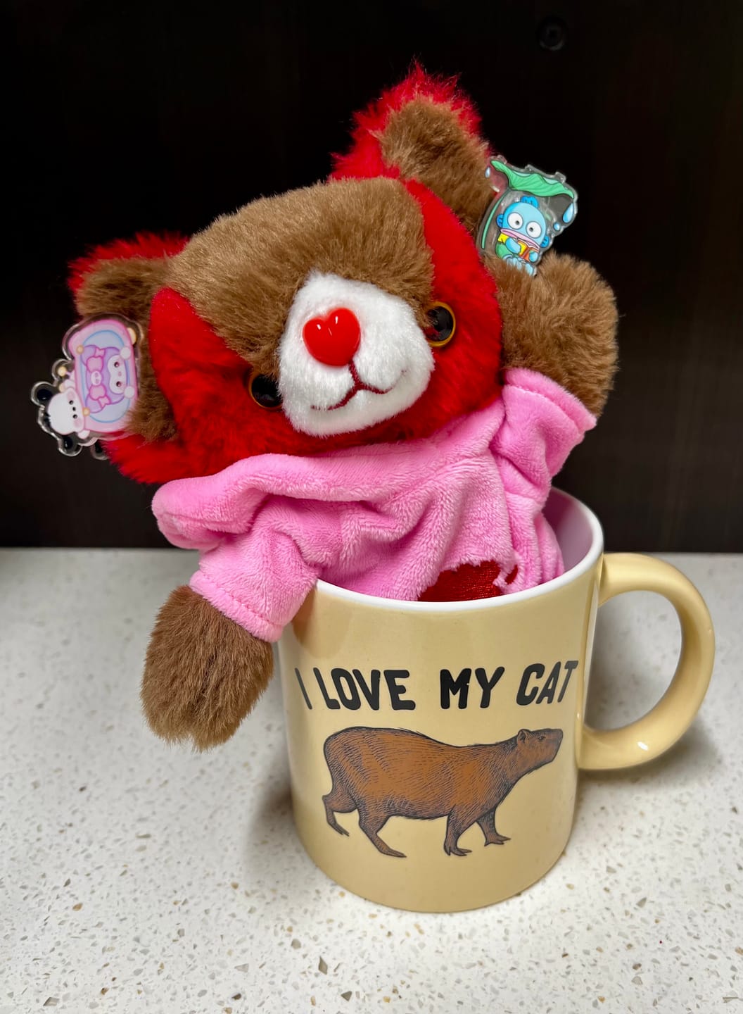 Customer photo review of ICE CREAM NOOPS - Noopy2 10" Plush - RAZZ
