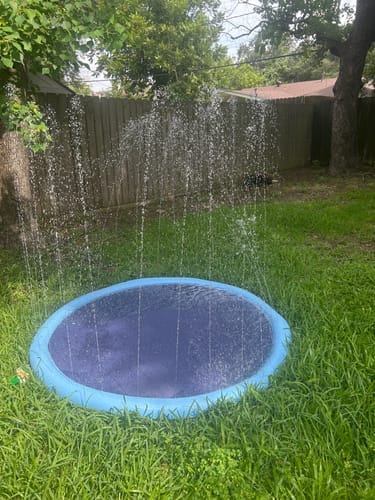 Customer photo review of Spleshee™