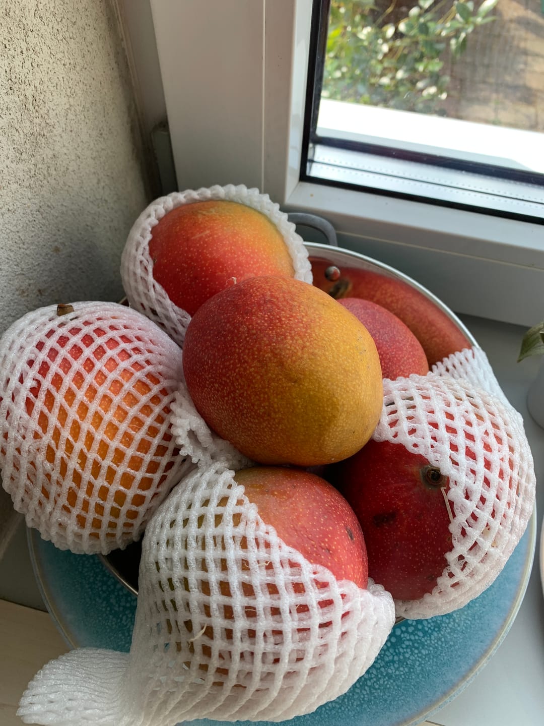 Customer photo review of Dein Trübenecker Gutschein