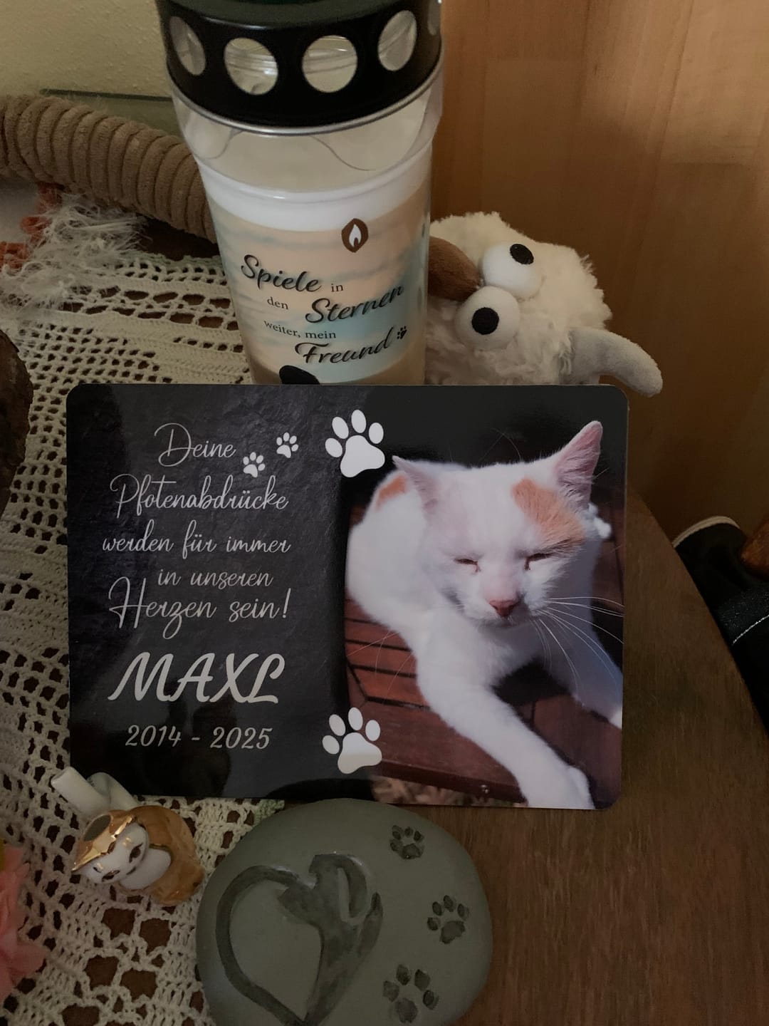 Customer photo review of Katzen Gedenktafel mit Foto & Spruch (UV- & Wetterfest)