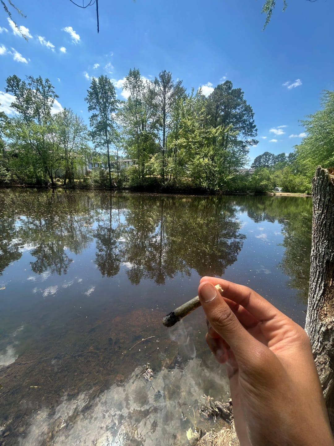 Customer photo review of Sherblato - 28 Grams - Hybrid