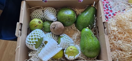 Ein Kunde zeigt seine großen Antillano-Avocados in einer Versandbox mit anderen Früchten.