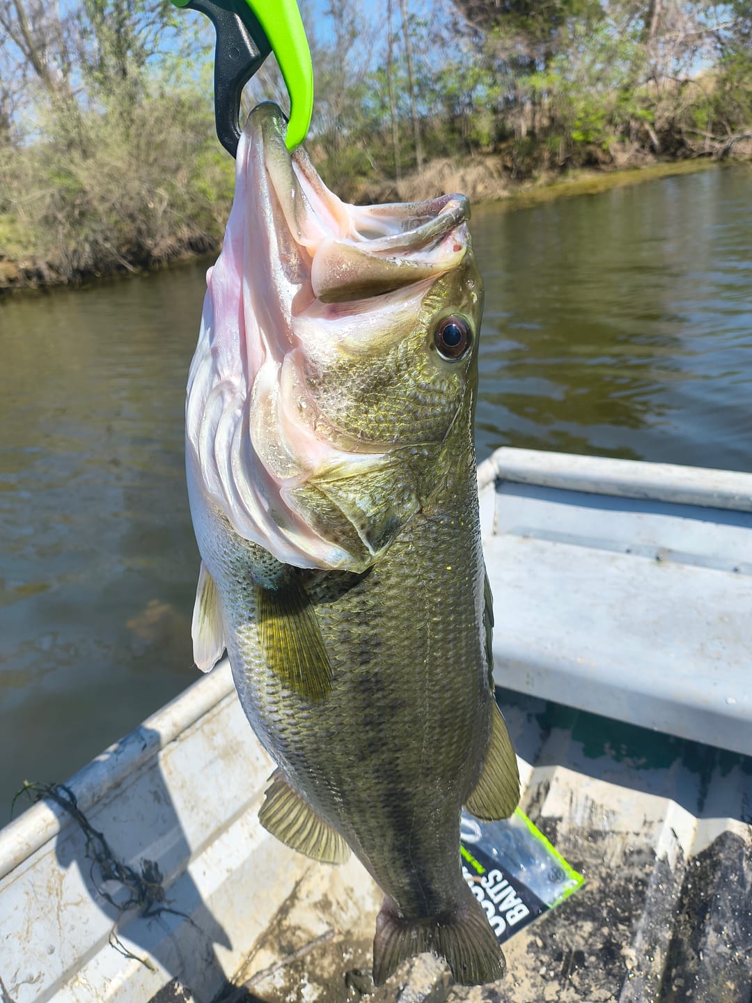 Customer photo review of Topwater Tim Casting Rod