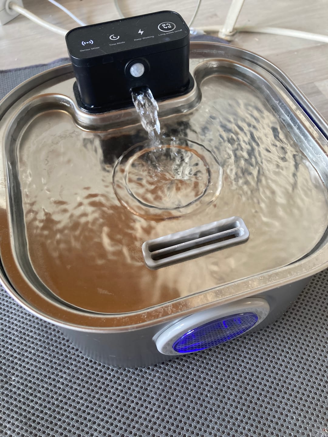 Customer photo review of PfotenBrunnen™ - Katzenwasserspender