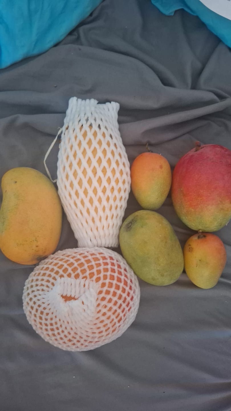 Customer photo review of Mango Entdeckerbox