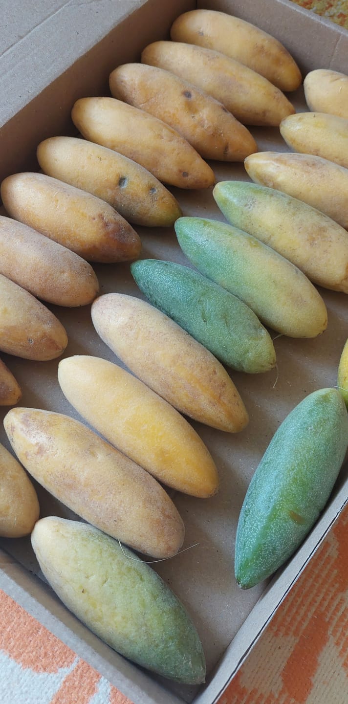 Customer photo review of Curuba (Bananen-Maracuja)