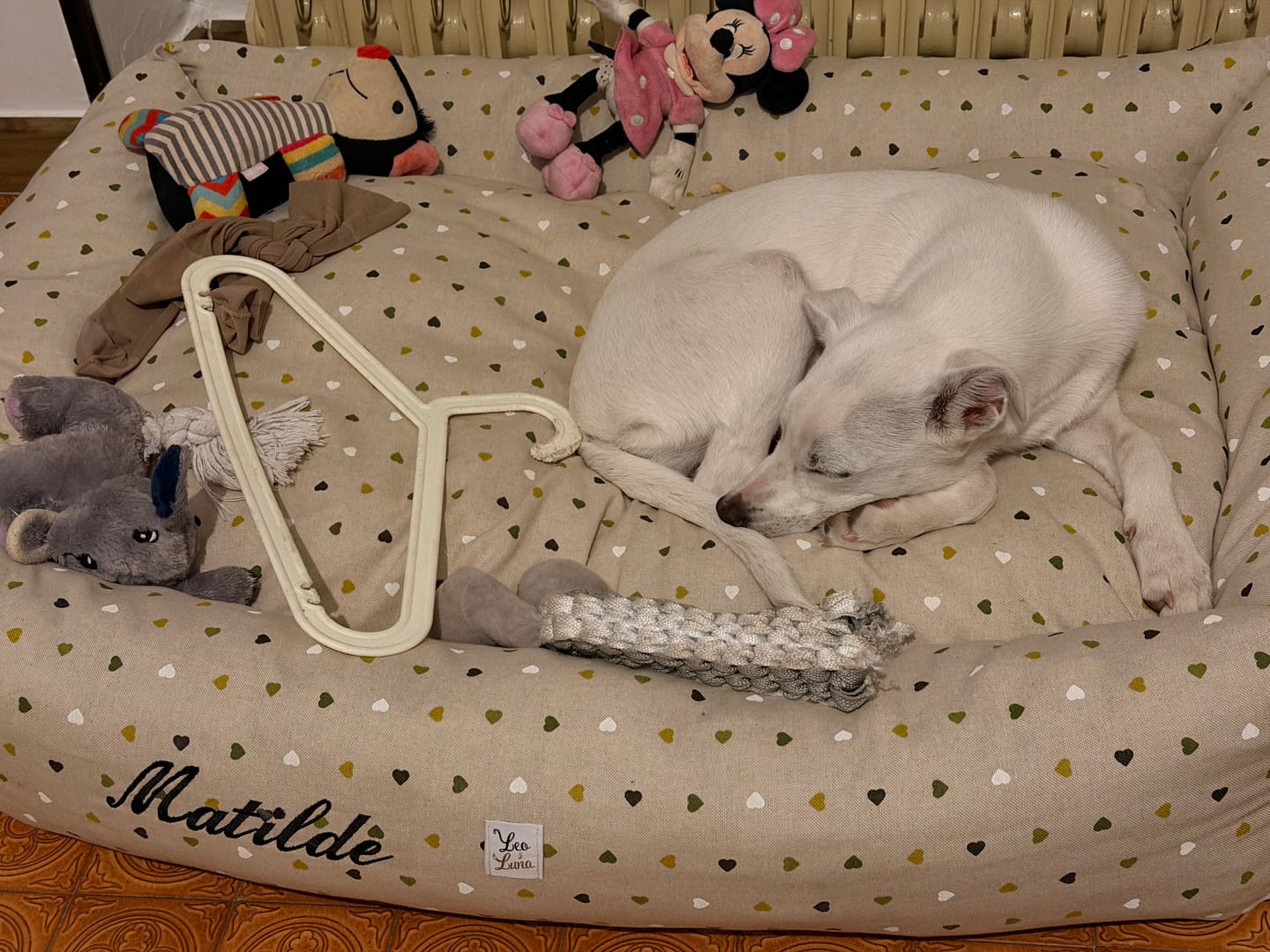 Customer photo review of Divanetto Cotone Little Love Green