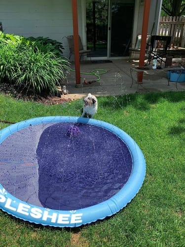 Customer photo review of Spleshee™