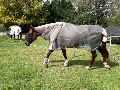 Customer photo review of LE Defender Anti-Insect Fly Rug
