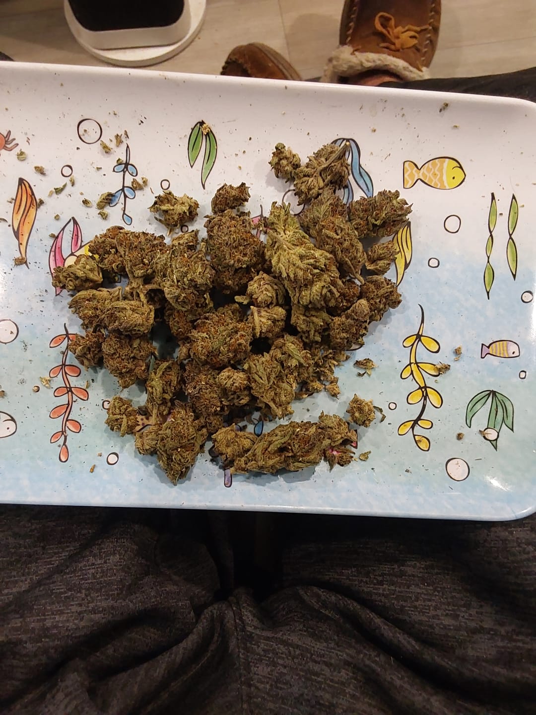 Customer photo review of Black Runtz