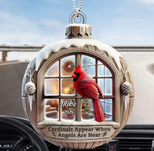 Customer photo review of Memorial Cardinal Outside Window Sympathy Gift - Personalized Acrylic Car Ornament