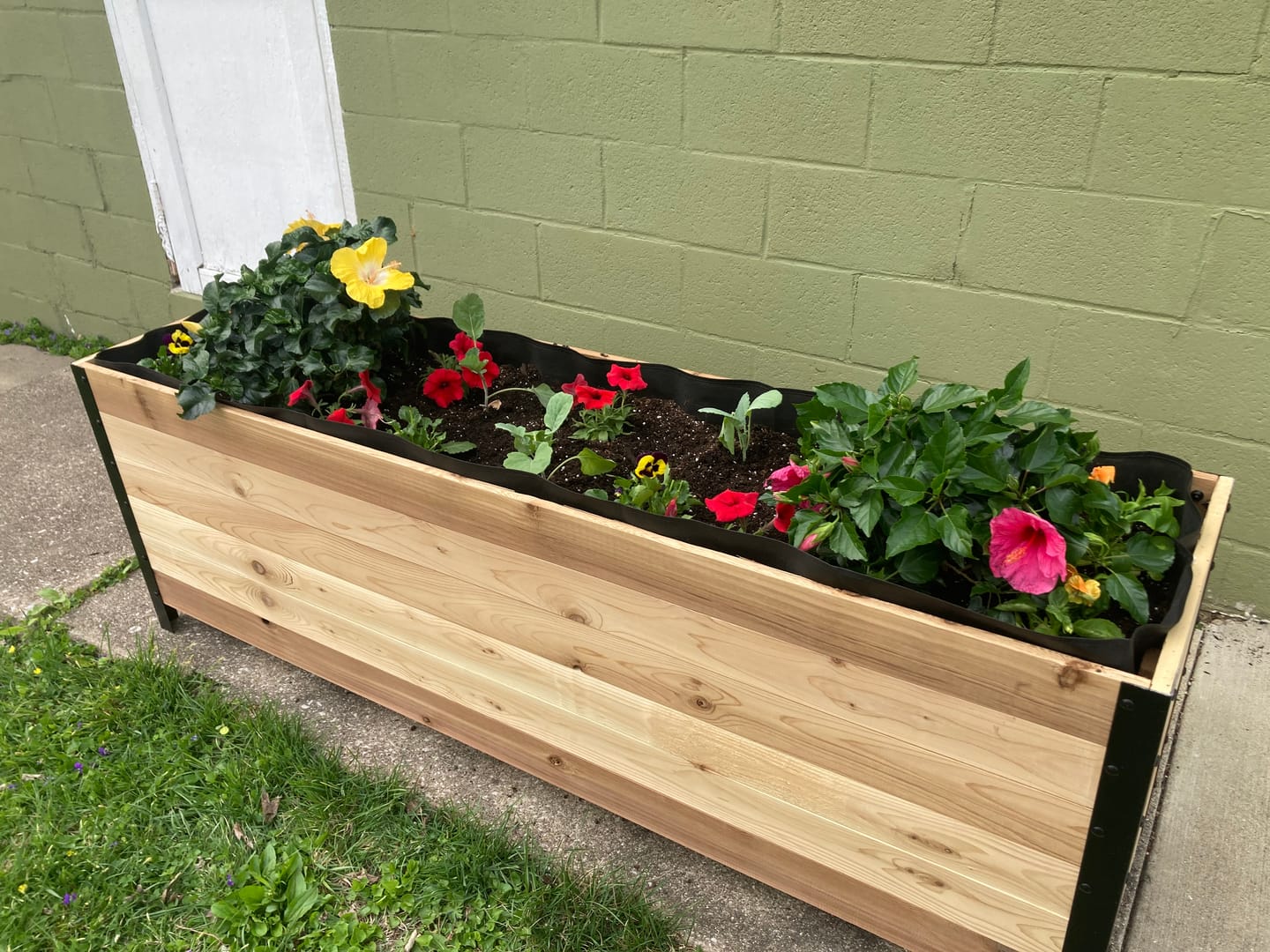 Customer photo review of 18" x 72" Planter Box - 24" TALL / Garden Grade