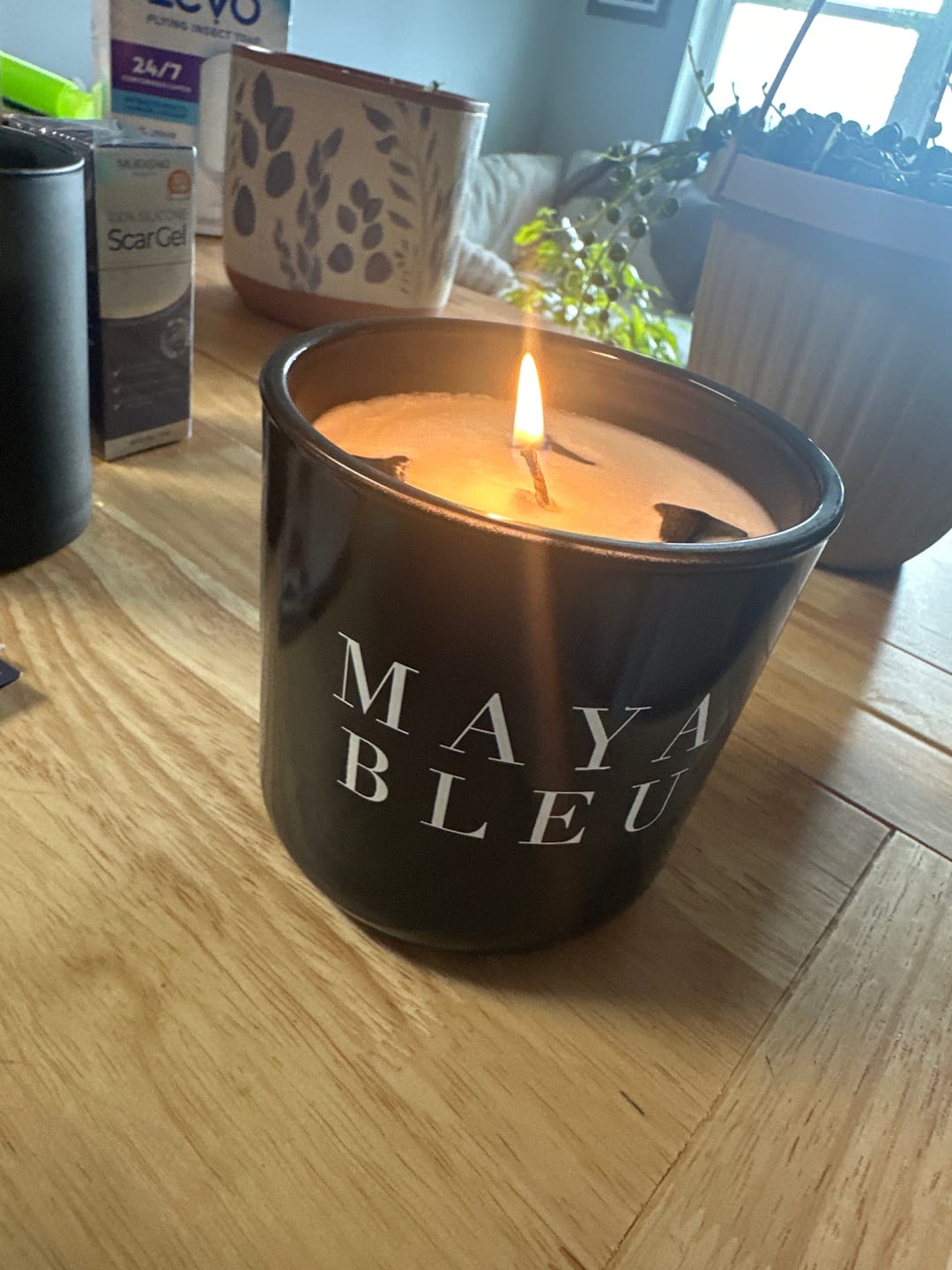 Customer photo review of The Original Shark Tooth Candle