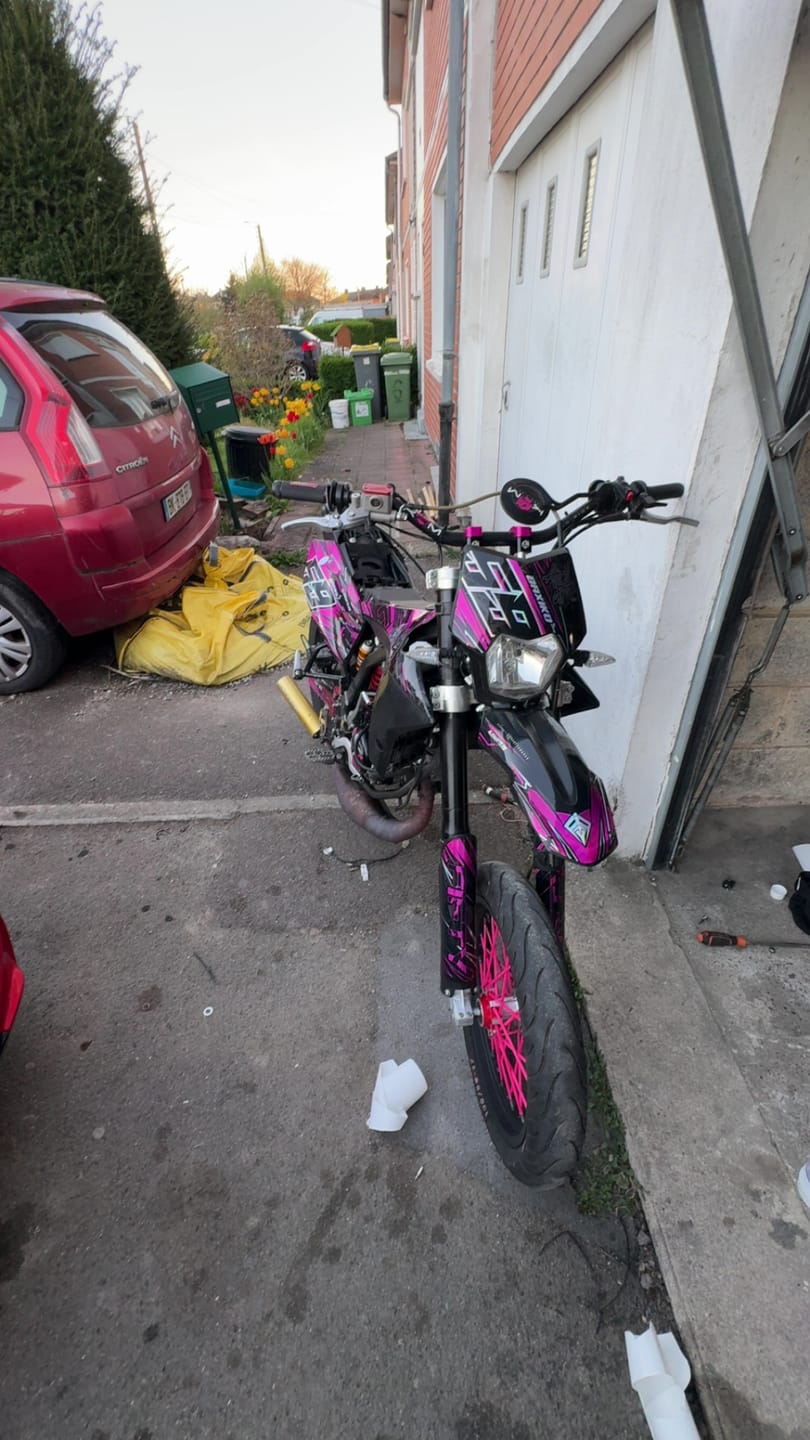 Customer photo review of KIT DECO FIFTY X ALIENARTS ROSE PERSONNALISABLE