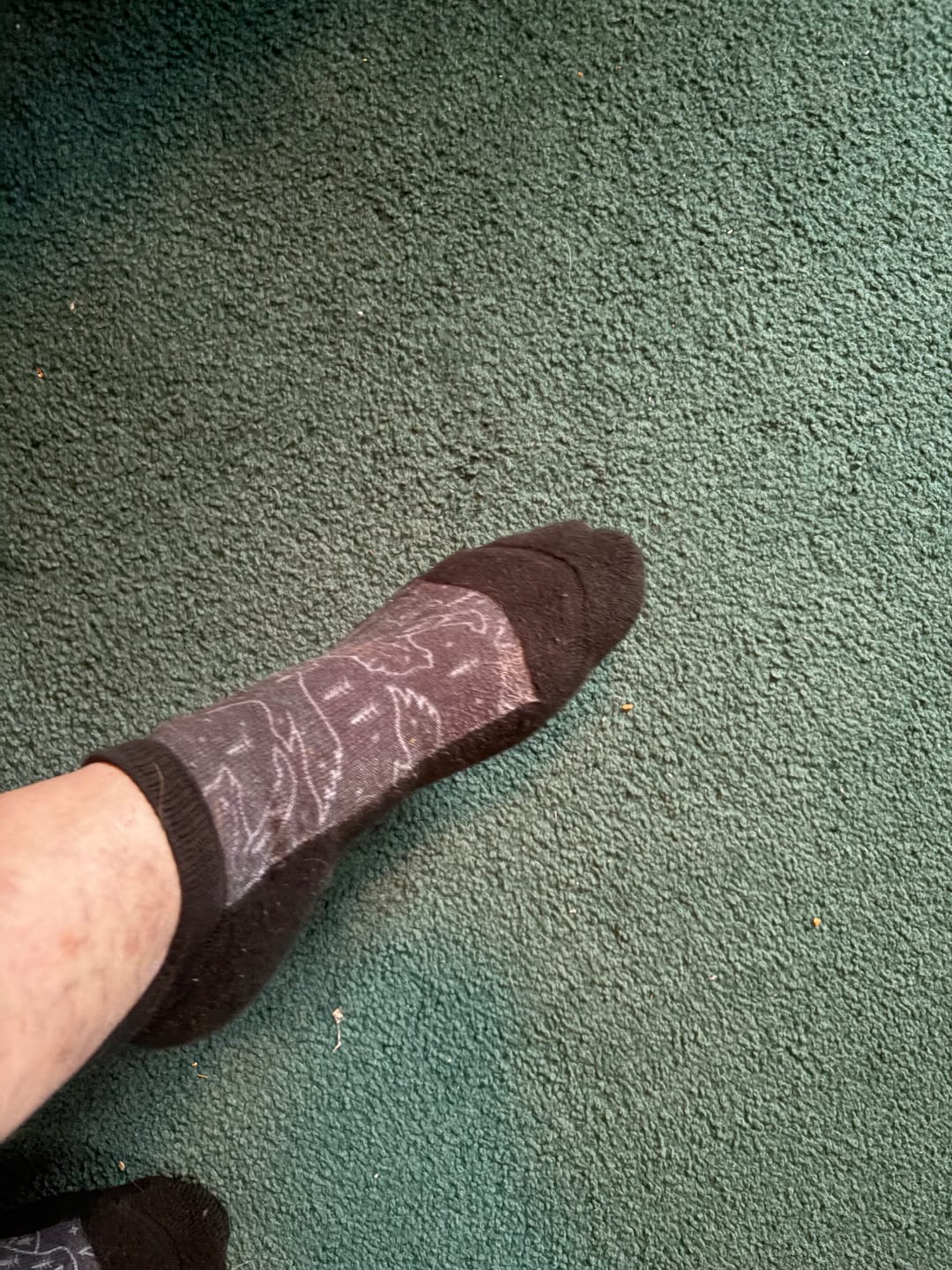 Customer photo review of Spirit Animals Ankle Socks