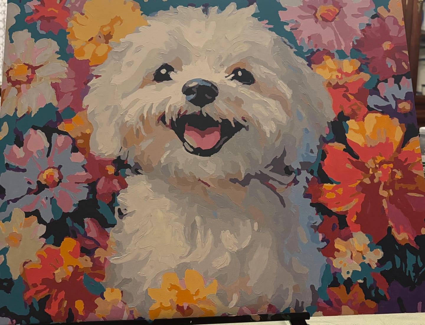 Customer photo review of Bichon Frise