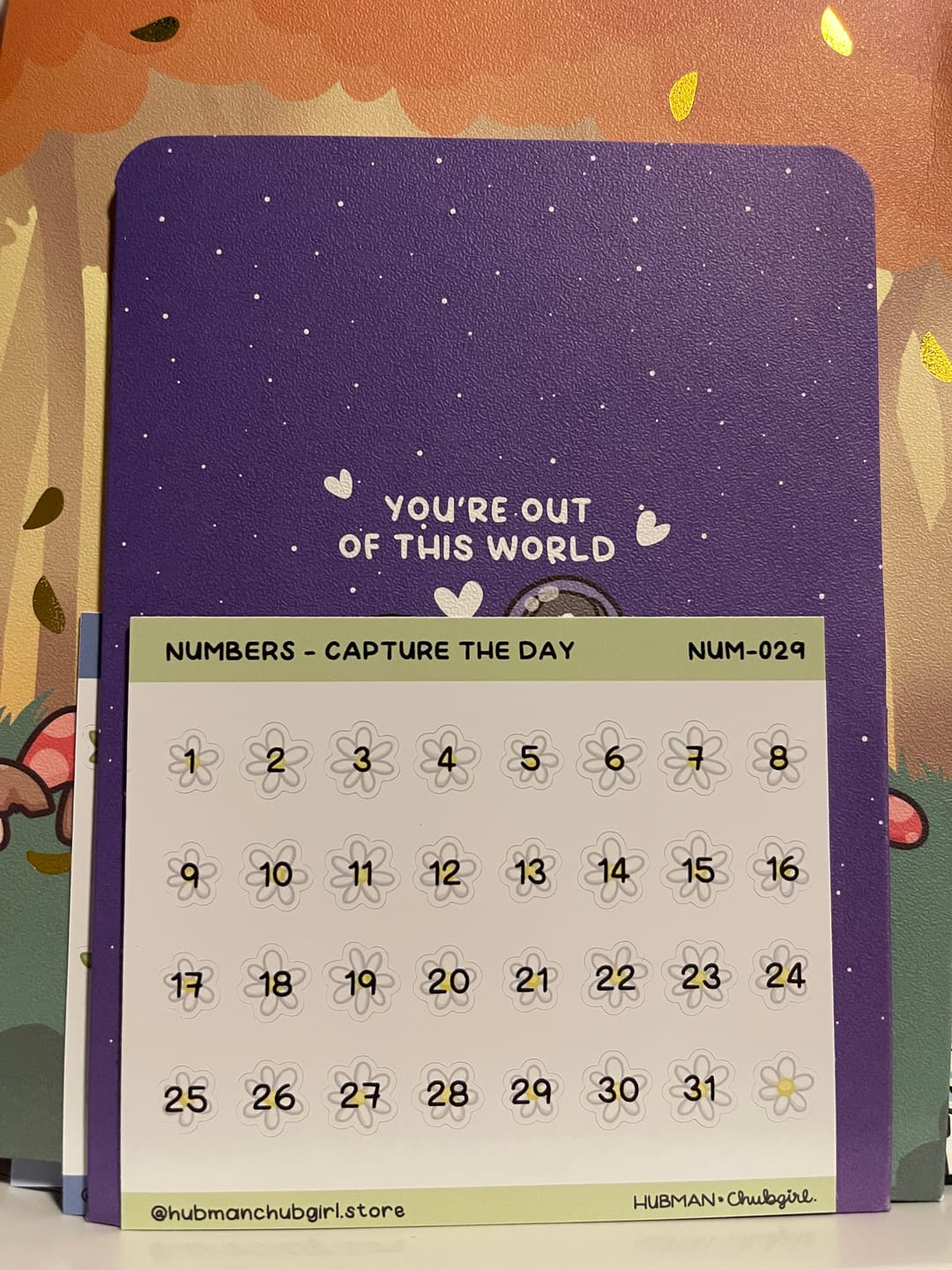 Customer photo review of Numbers - Capture the Day Planner Stickers