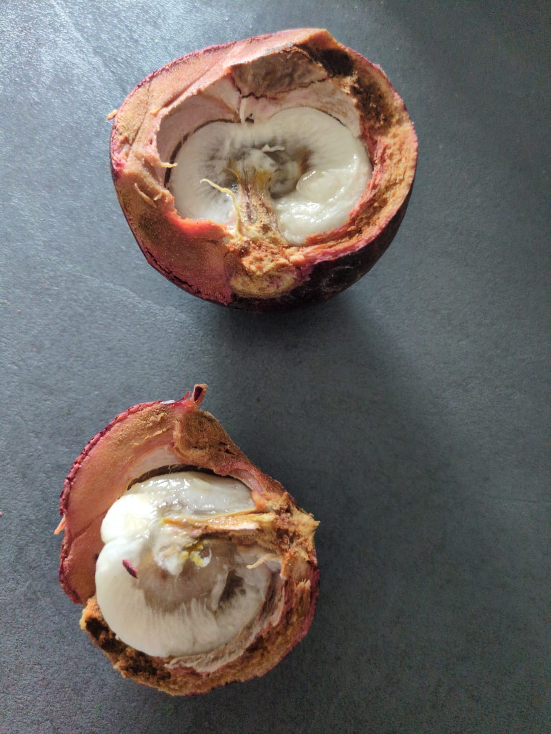 Customer photo review of Mangostan naturbelassen Aktionswoche %