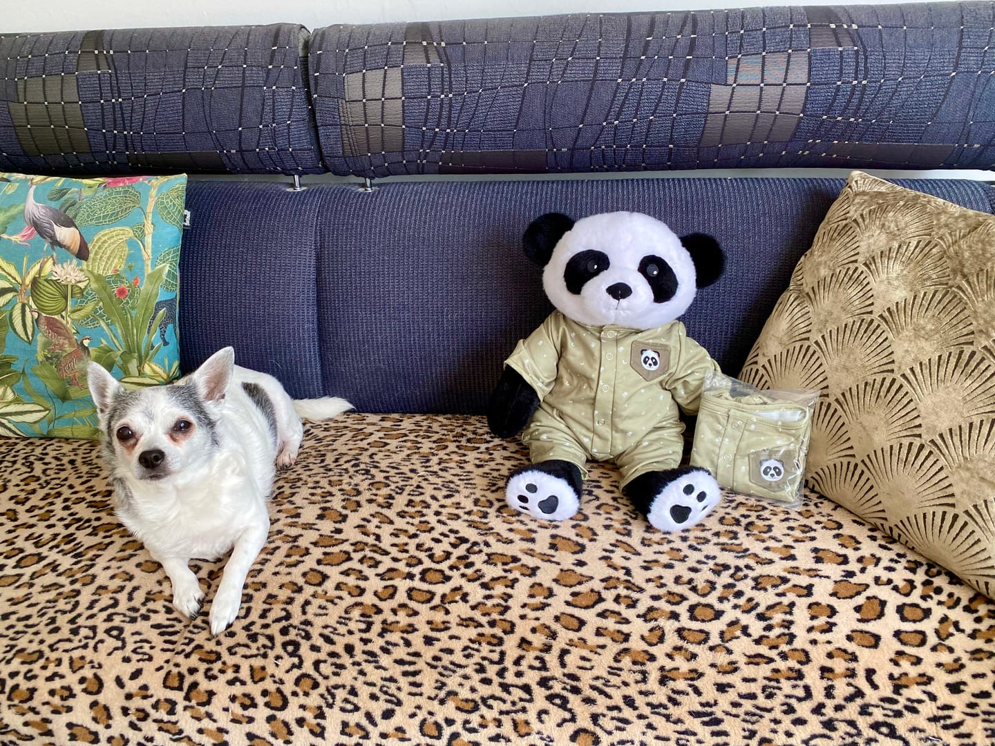 Customer photo review of Panda Kleding Zomer Lotgenootje