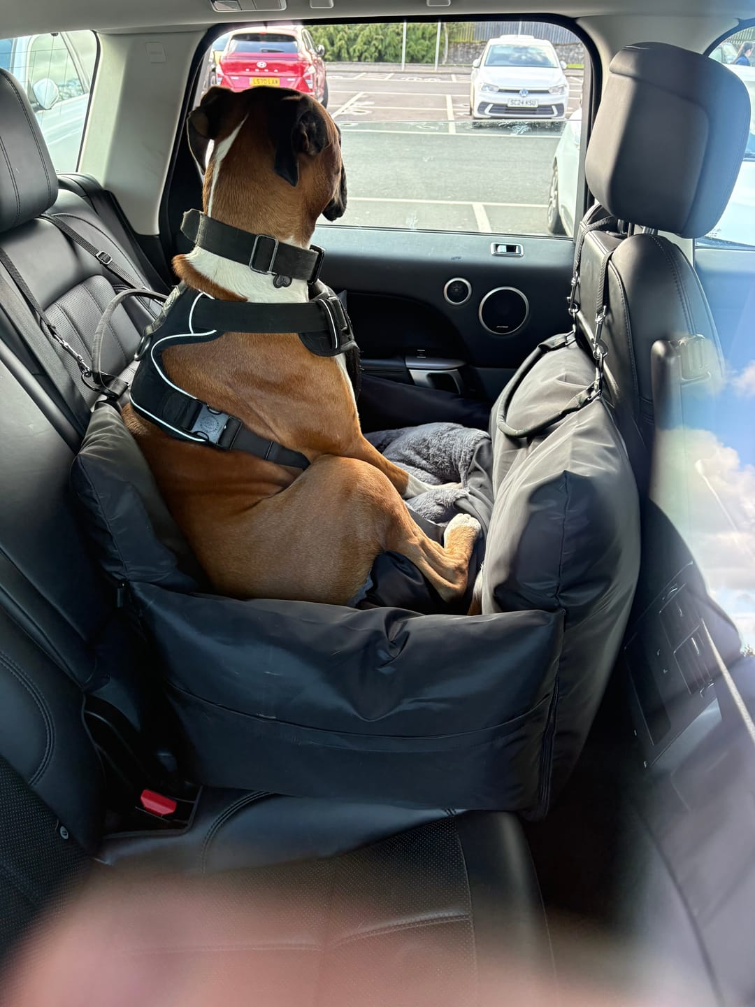 Customer photo review of Travel Dog Pod XL - Now With Isofix