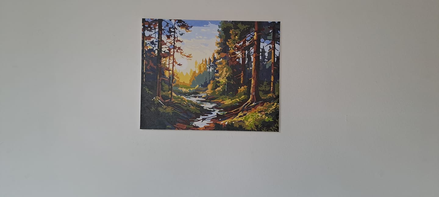 Customer photo review of Sunlit Tranquility