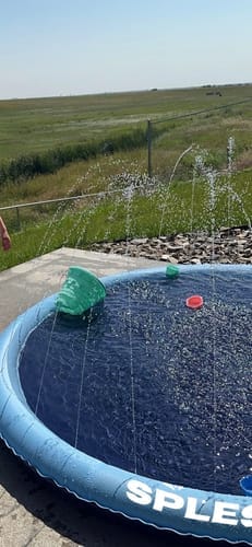 Customer photo review of Spleshee™