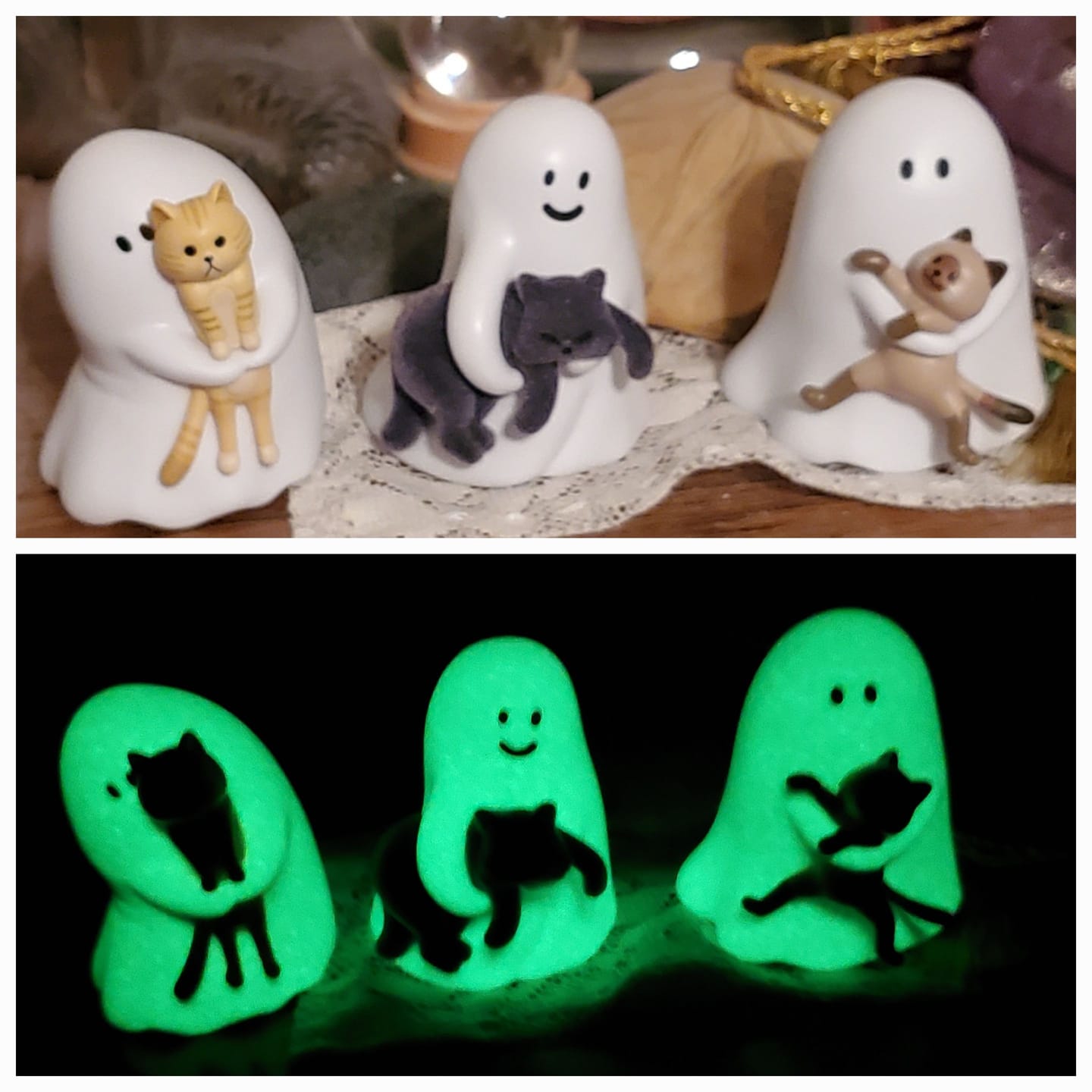 Customer photo review of Ghody Behold My Cat Series Mini Blind Box【Shipped in May. 2026】
