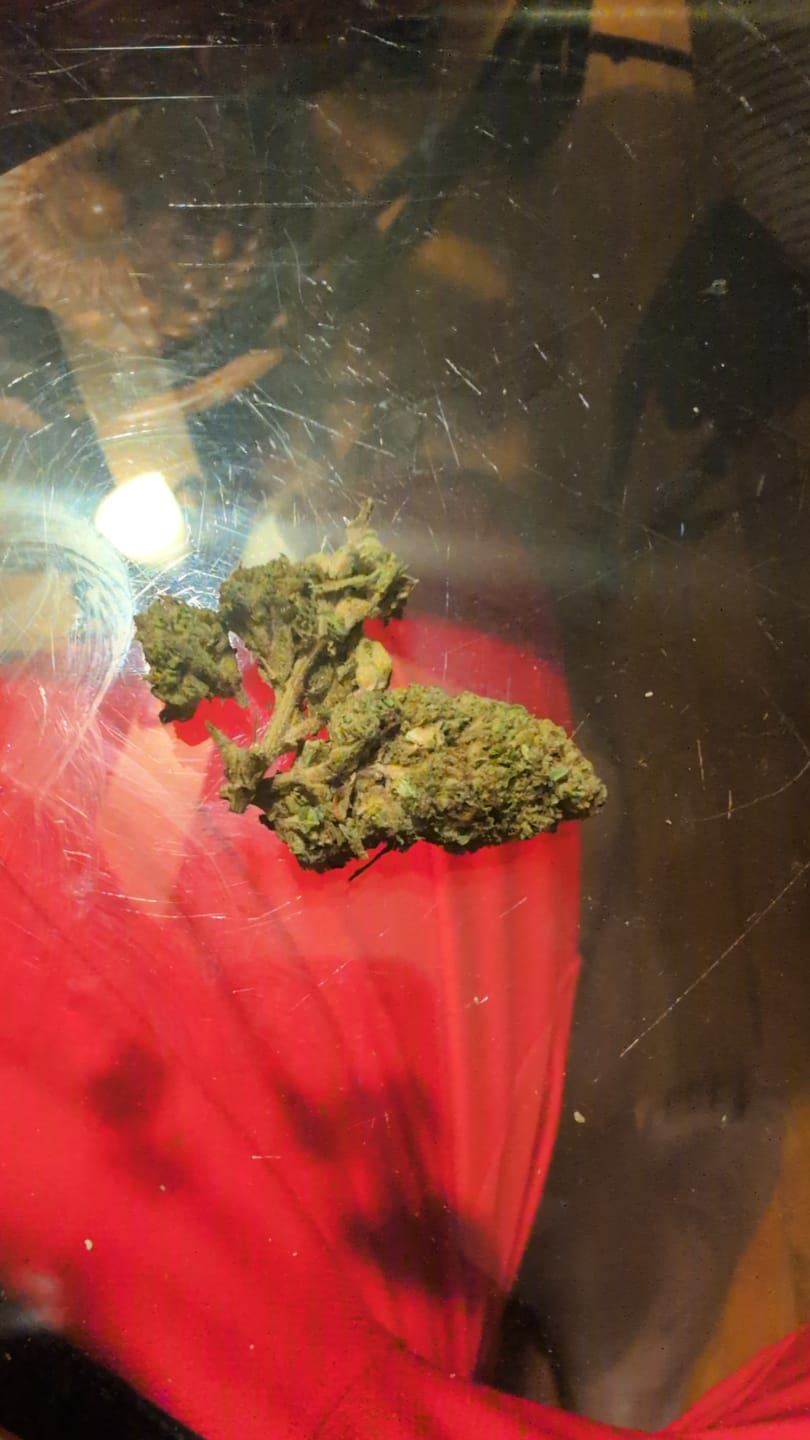 Customer photo review of Rainbow Sherbet - 28 Grams - Hybrid
