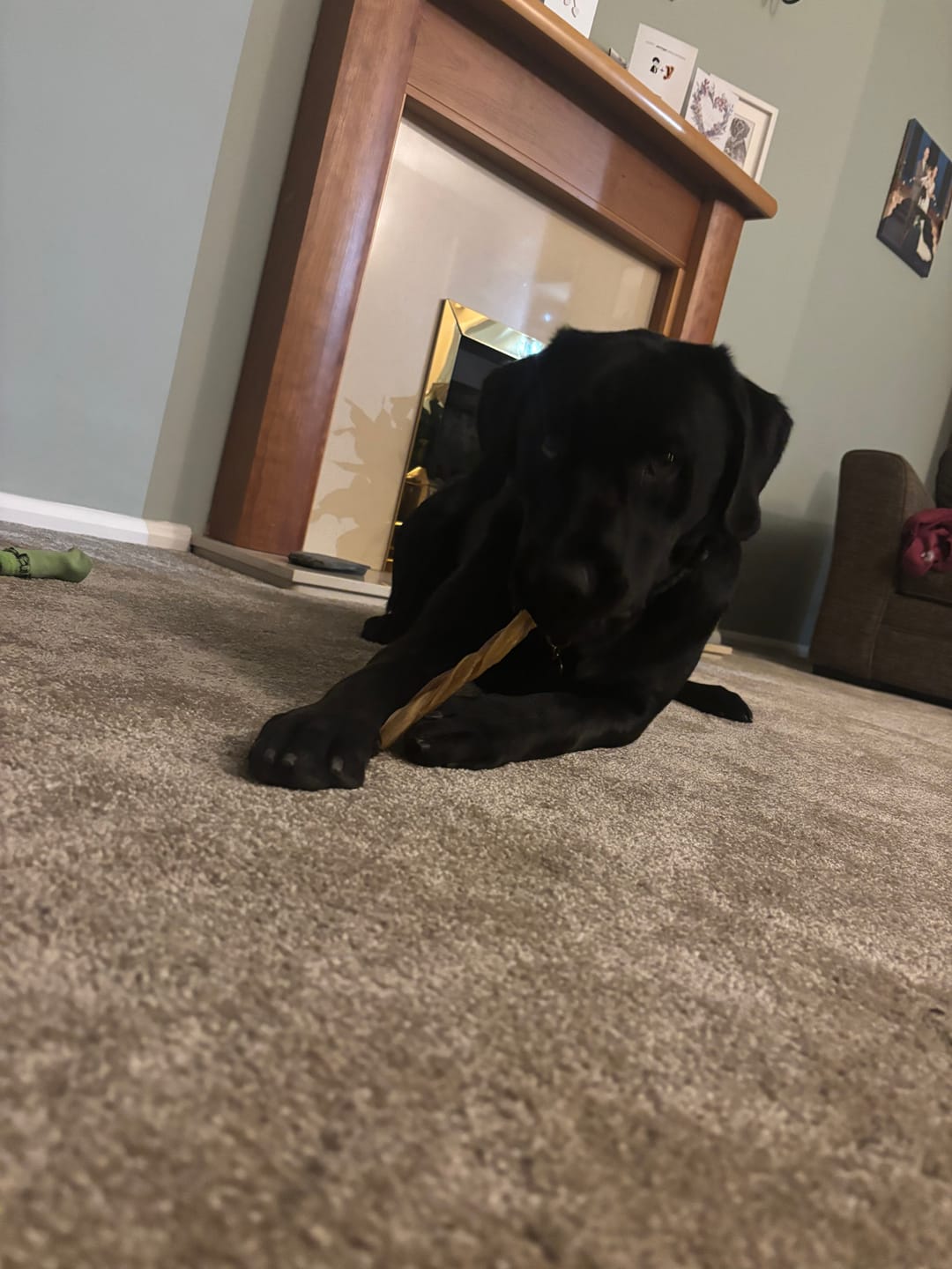 Customer photo review of Buffalo Gullet (100g)