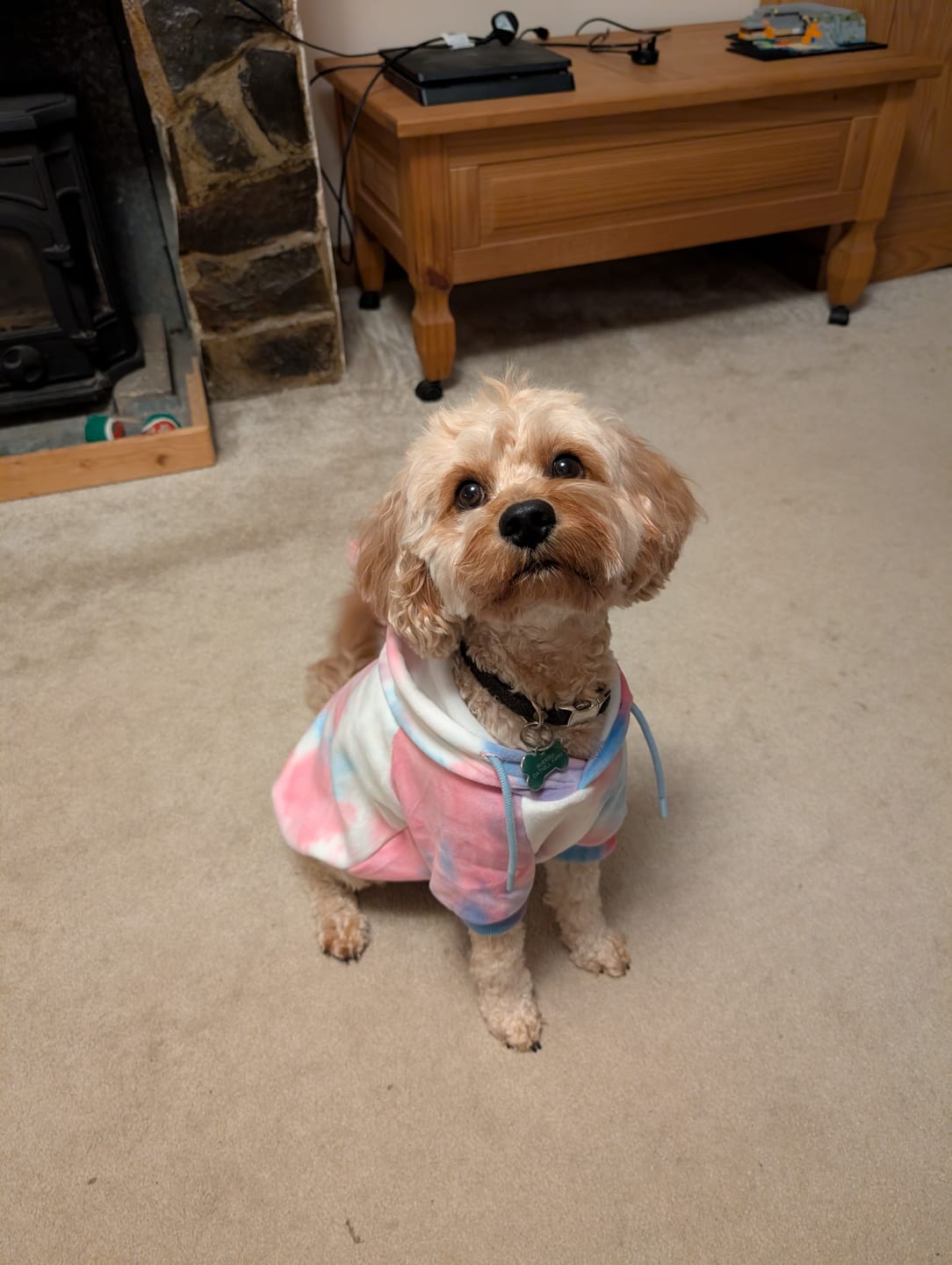 Customer photo review of Velvet Dog Hoodie - 90s Retro