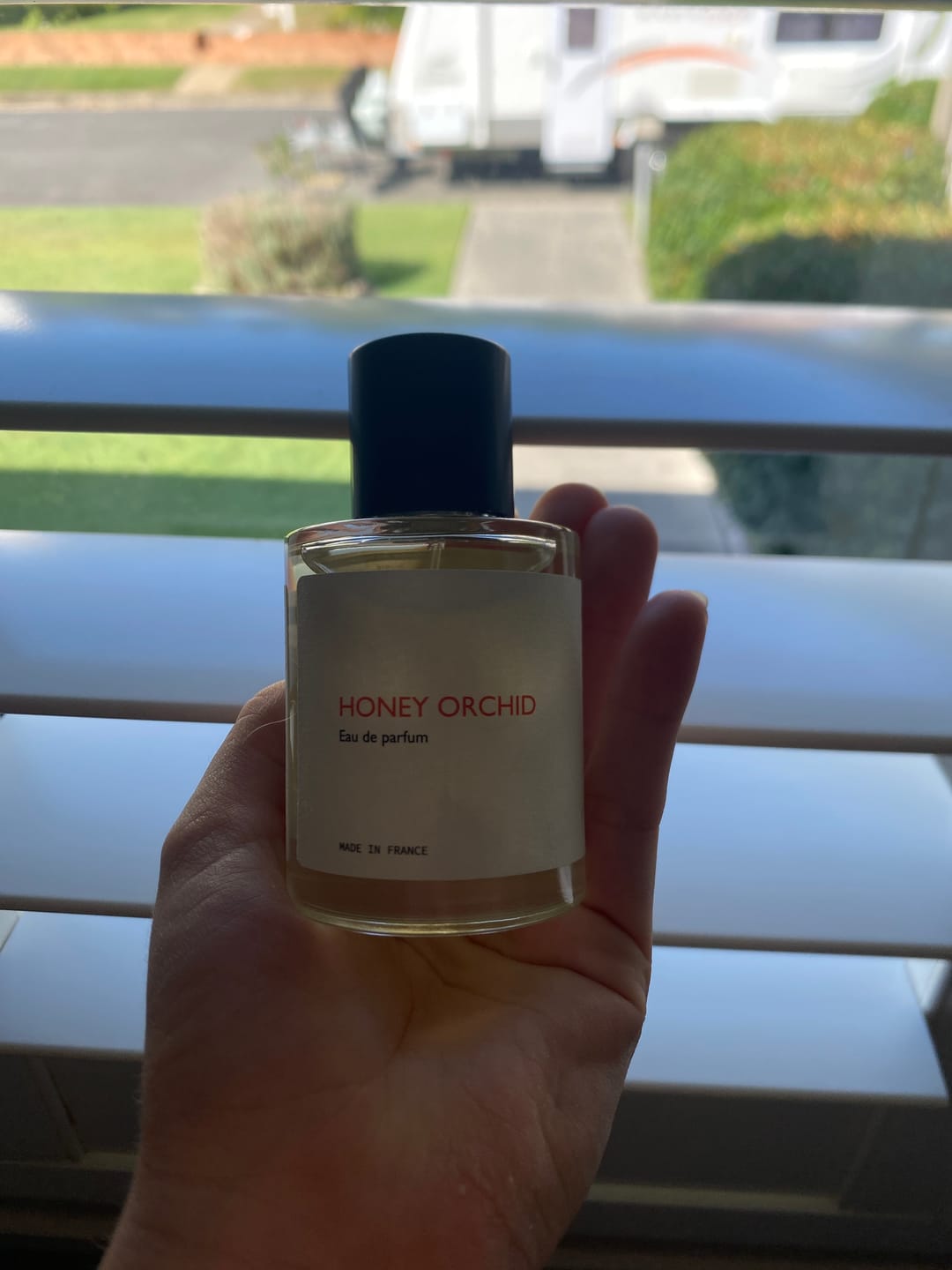 Customer photo review of Honey Orchid
