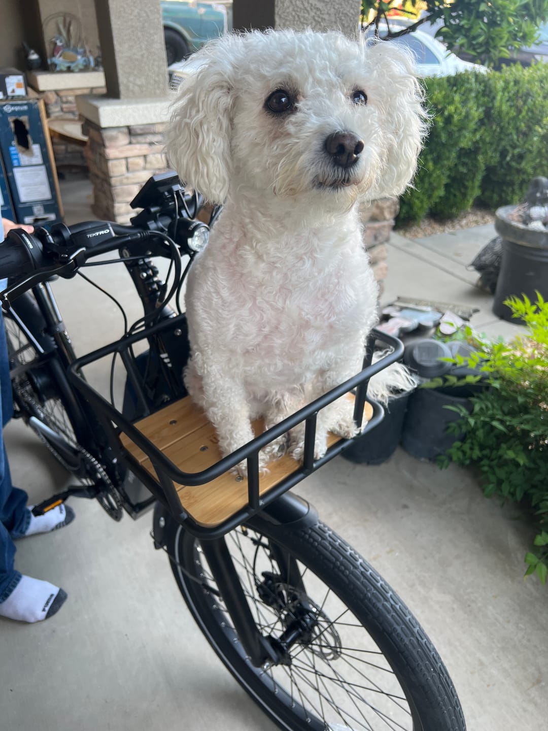 Customer photo review of Multi-Purpose Front Cargo Basket