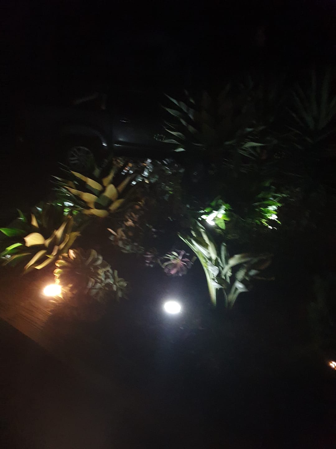 Customer photo review of SolaGarden™ LED Ground Light Pack