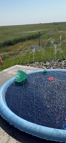Customer photo review of Spleshee™