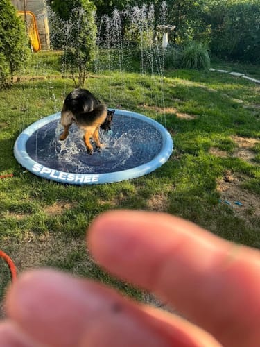 Customer photo review of Spleshee™