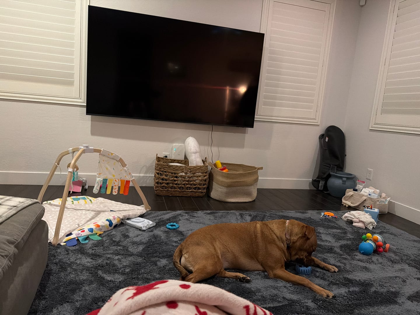 Customer photo review of Deluxe Shaggy Relax Mat - 1.4" Thick Foam Base