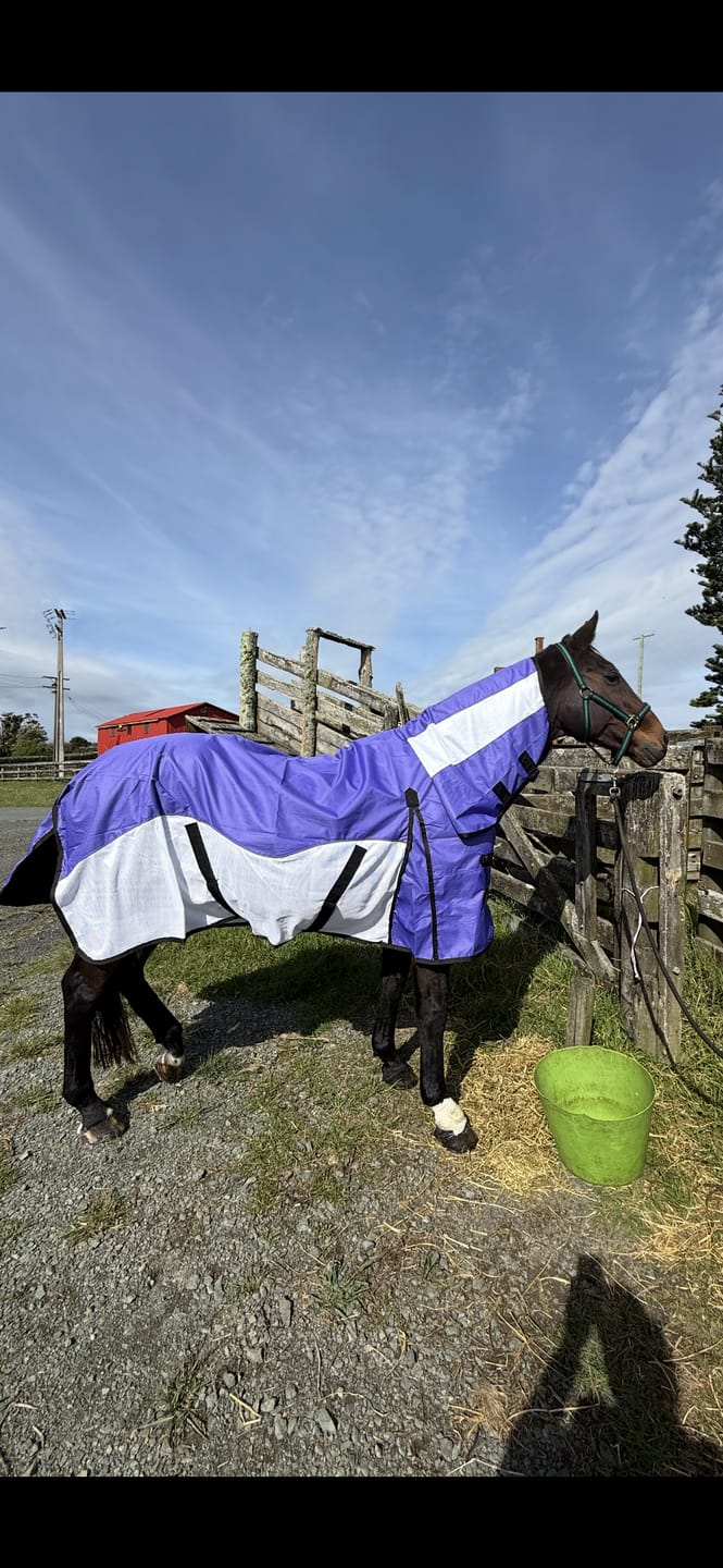 Customer photo review of NZ Tack WaterProof Mesh CrossOver Combo Purple