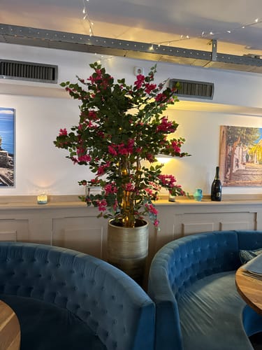 Customer photo review of Bougainvillea Kunstplant 180cm