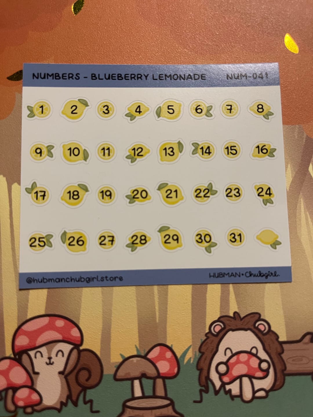 Customer photo review of Numbers - Blueberry Lemonade Planner Stickers
