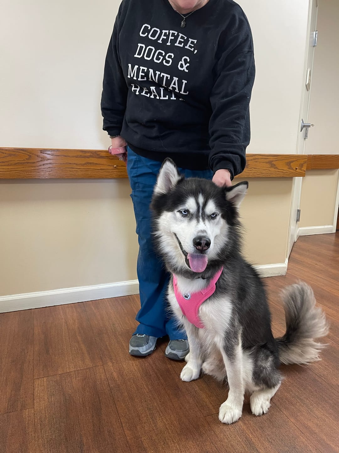 Customer photo review of Coffee, Dogs & Mental Health Sweatshirt