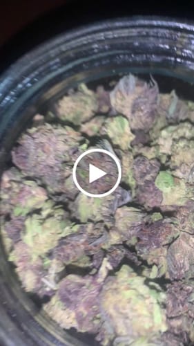 Customer video review of Bulk Indoor THCA Smalls