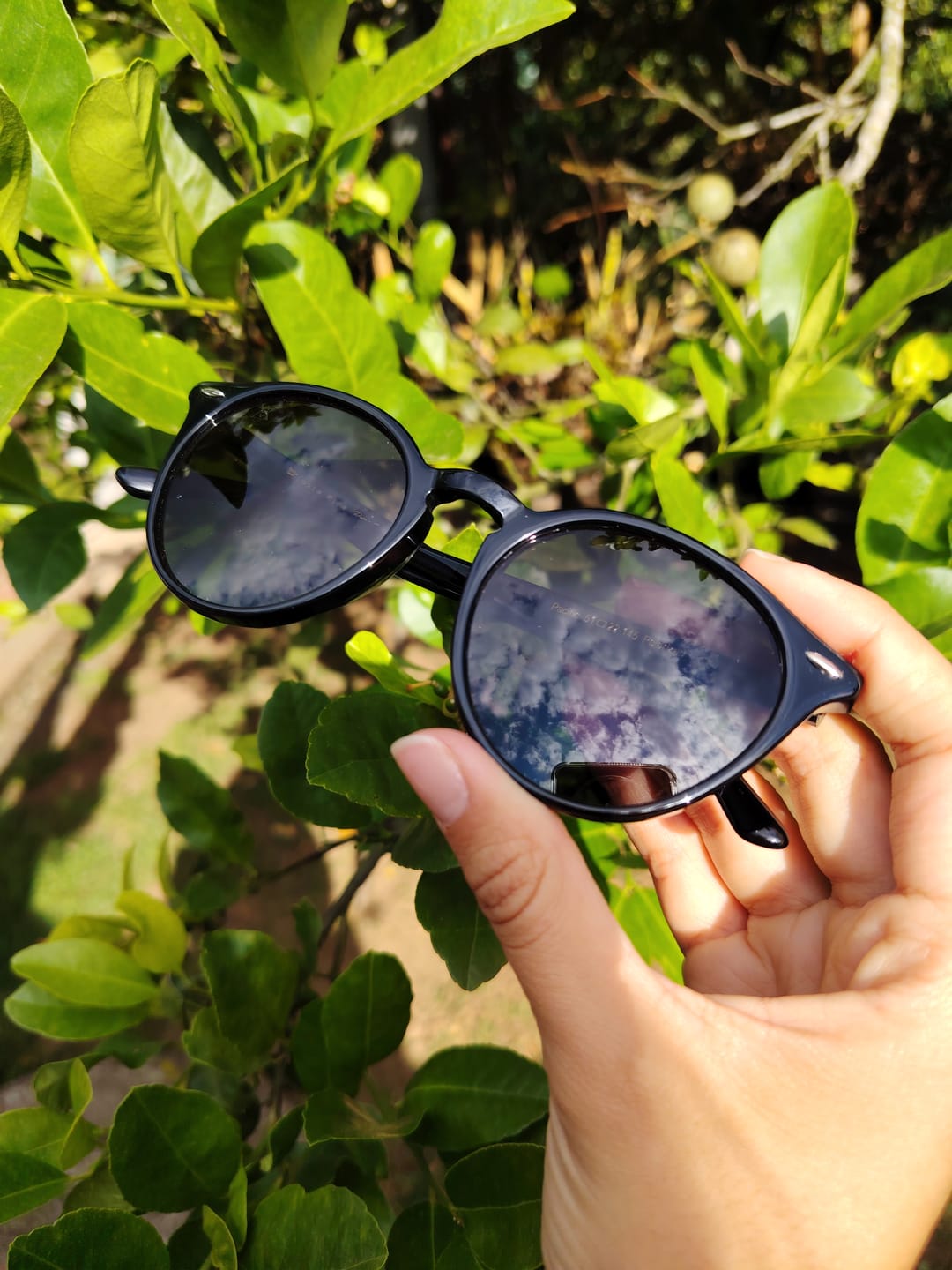 Customer photo review of PACIFIC